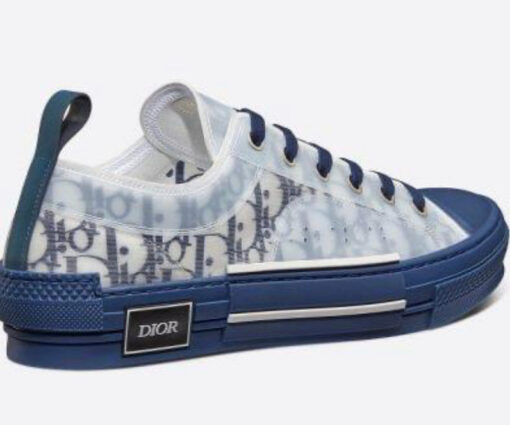 Alternative view of OBLIQUE B23 BLUE 1