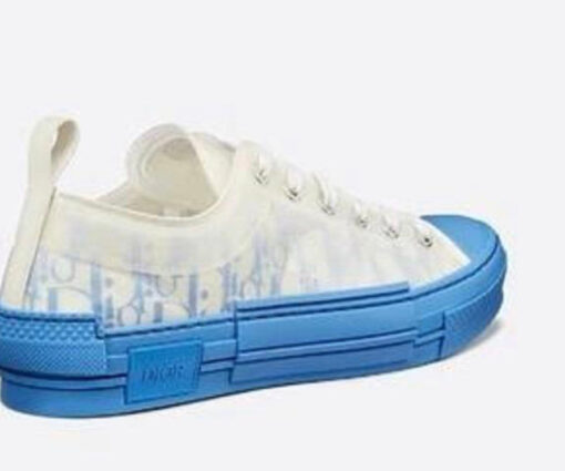 Alternative view of OBLIQUE B23 BLUE WHITE