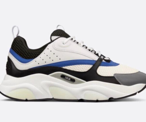 DIOR B22 WHITE BLUE