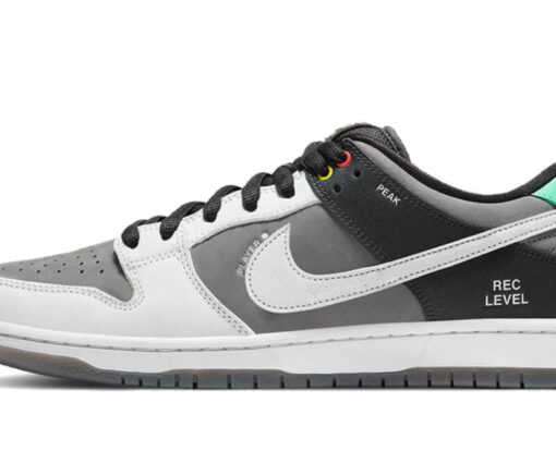 NIKE SB DUNK LOW VX1000 CAMCORDER