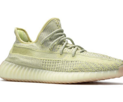 Alternative view of V2 Antlia (Reflective)