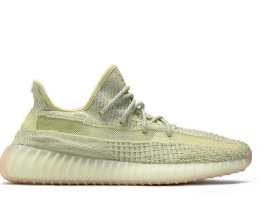 V2 Antlia (Non-Reflective)