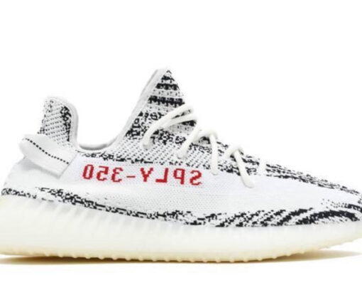 V2 Zebra