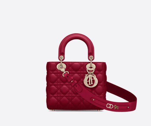 LADY DIOR MY ABCDIOR BAG