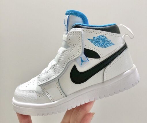 Nike Air Jordan 1 Black purple