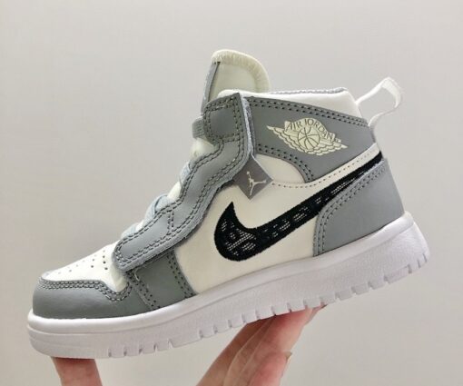 Nike Air Jordan 1 dior