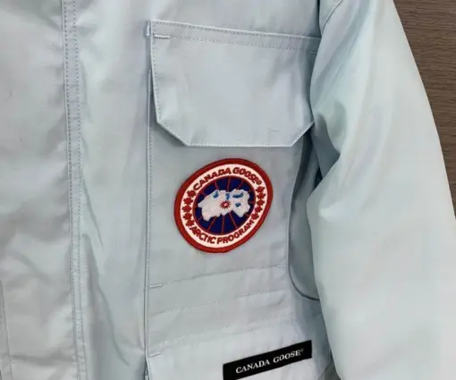 Alternative view of Canada Goose