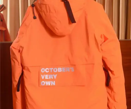 Alternative view of Canada Goose