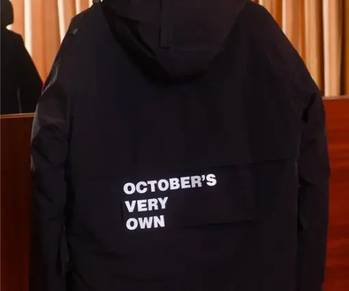 Alternative view of Canada Goose