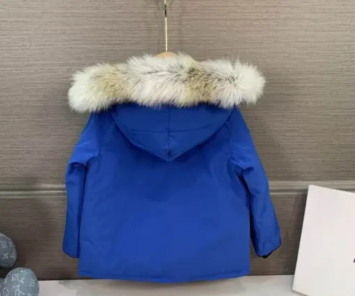 Alternative view of Canada Goose