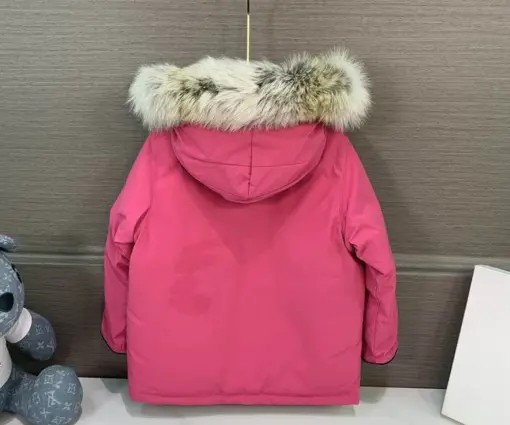Alternative view of Canada Goose