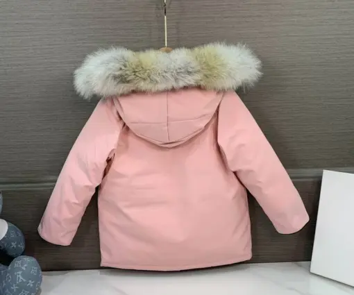 Alternative view of Canada Goose