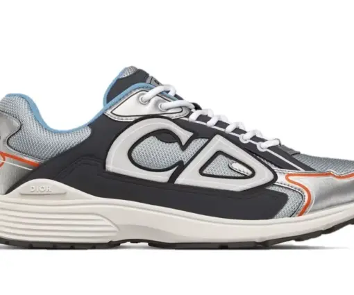 Dior B30 Brown Silver Grey