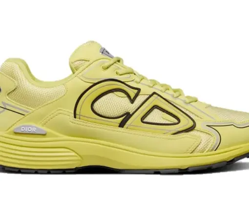 Dior B30 Brown Yellow