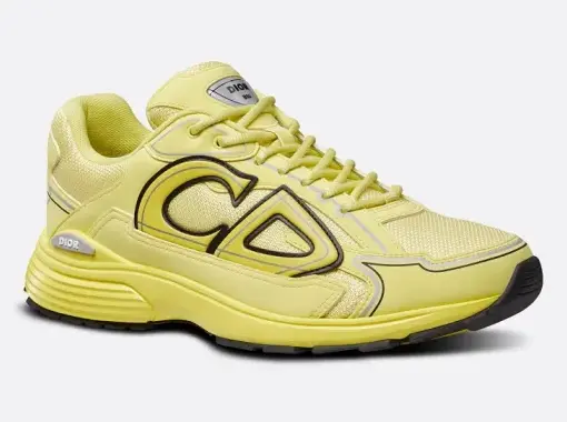 Alternative view of Dior B30 Brown Yellow