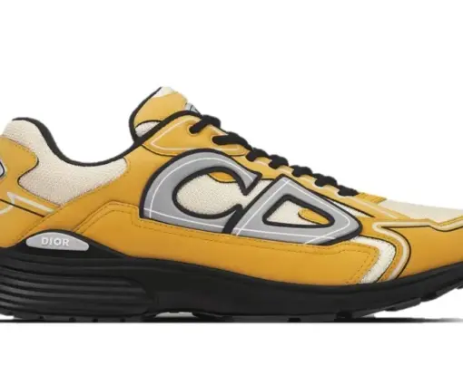 Dior B30 Brown Yellow Grey