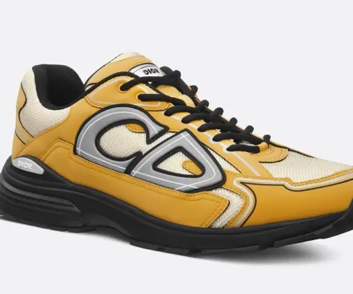 Alternative view of Dior B30 Brown Yellow Grey