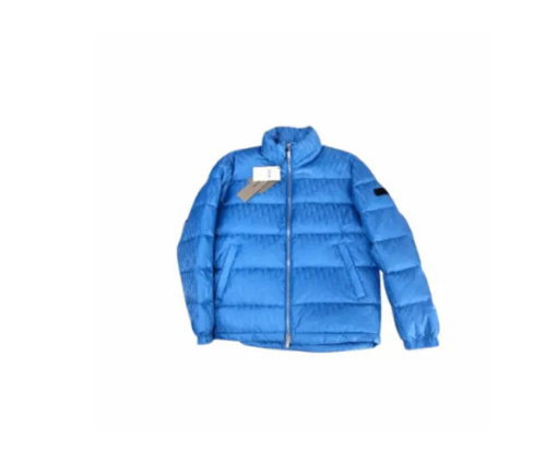 Dior Men Blue Oblique Down Jacket – Luxury Technical Jacquard Puffy Winter Coat