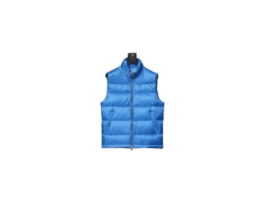 Dior Men Blue Dior Oblique Printed Puffer Vest – Luxury Technical Down Gilet