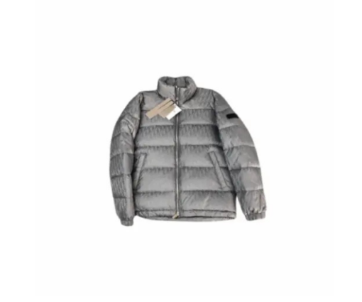 Dior Men Silver Oblique Down Puffer Jacket – Luxury Technical Jacquard Puffy Winter Coat