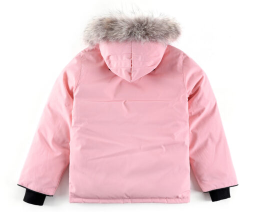 Alternative view of Canada Goose