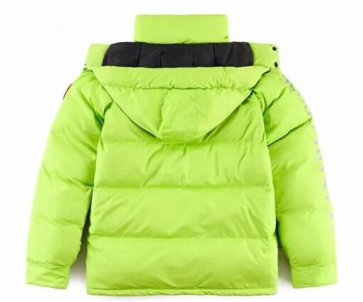 Alternative view of Canada Goose