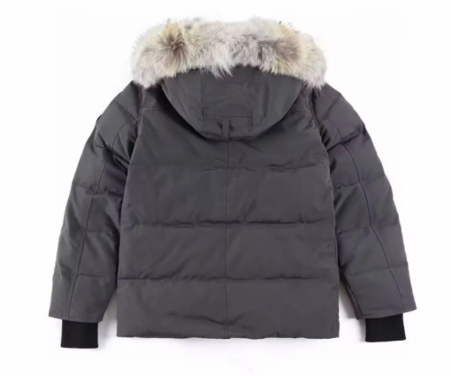 Alternative view of Canada Goose