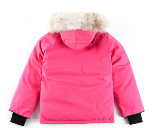 Alternative view of Canada Goose