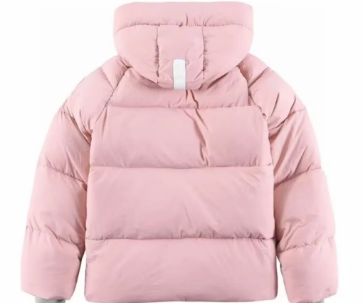 Alternative view of Canada Goose