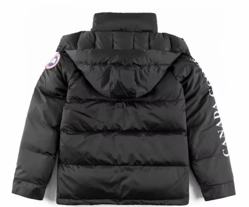 Alternative view of Canada Goose