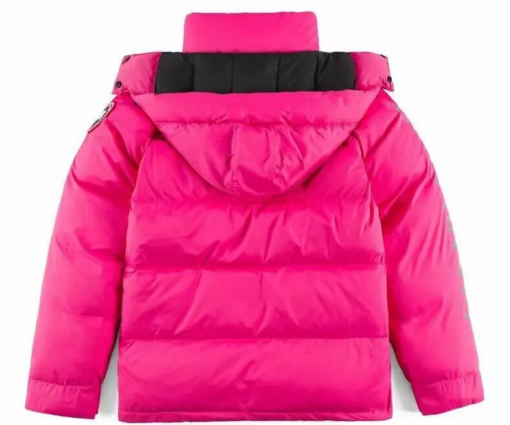 Alternative view of Canada Goose