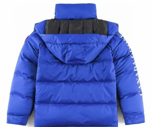 Alternative view of Canada Goose