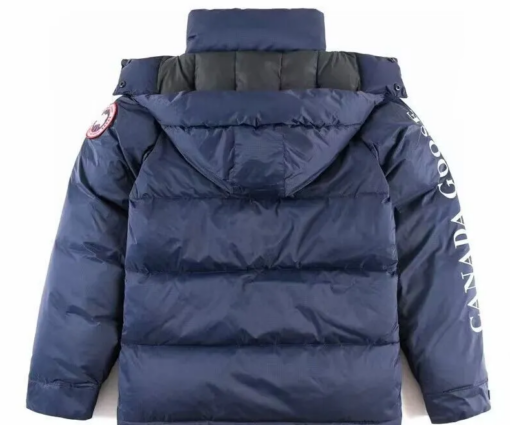 Alternative view of Canada Goose