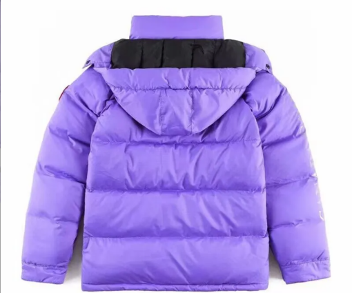 Alternative view of Canada Goose