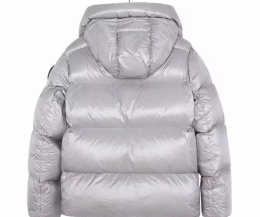 Alternative view of Canada Goose