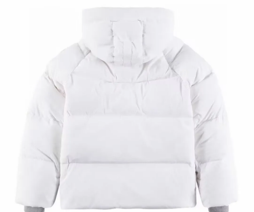 Alternative view of Canada Goose