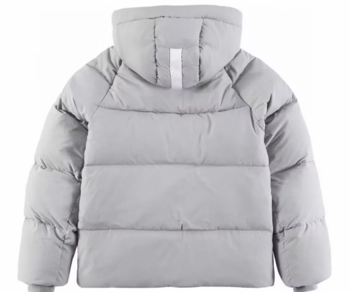 Alternative view of Canada Goose