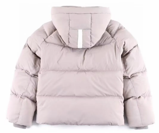 Alternative view of Canada Goose