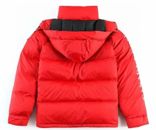 Alternative view of Canada Goose