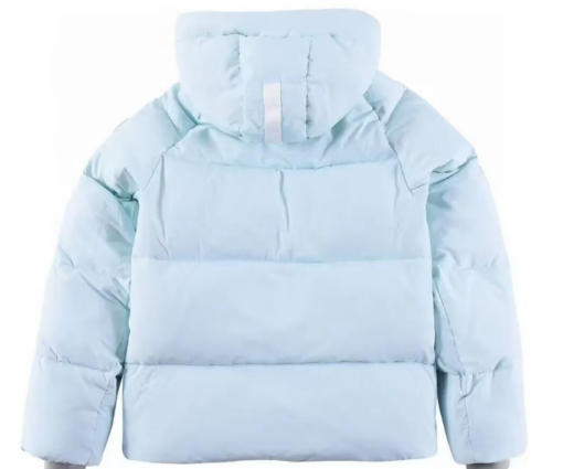 Alternative view of Canada Goose