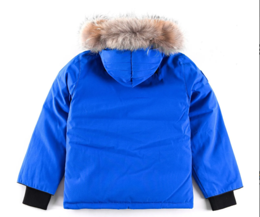 Alternative view of Canada Goose