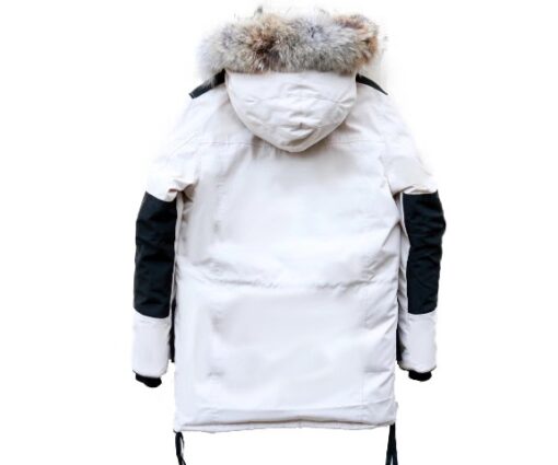 Alternative view of Canada Goose