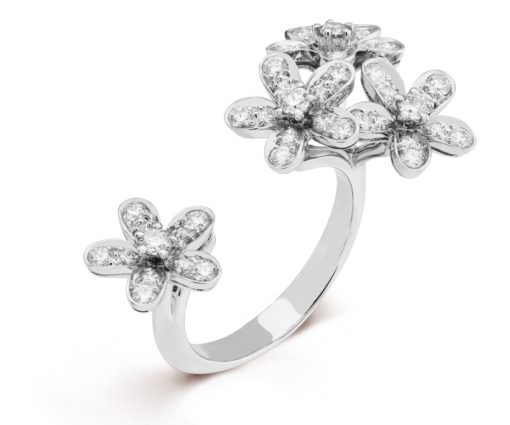 Socrate Between the Finger ring