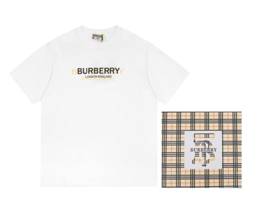 Alternative view of Shirt