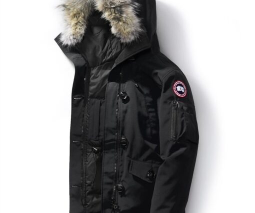 Alternative view of Canada Goose