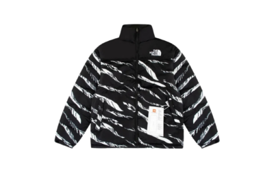North Face Down Jacket