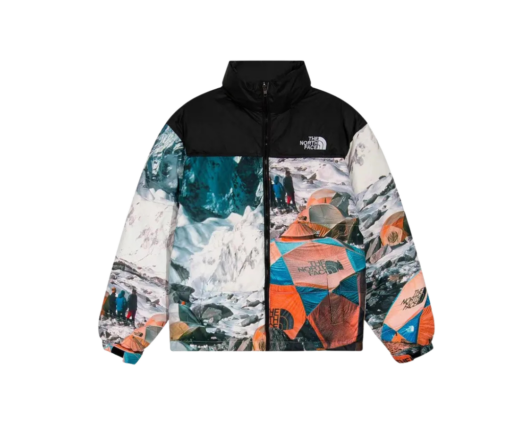 North Face Down Jacket