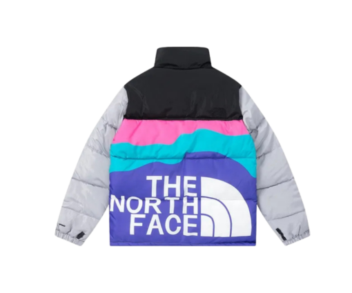 North Face Down Jacket