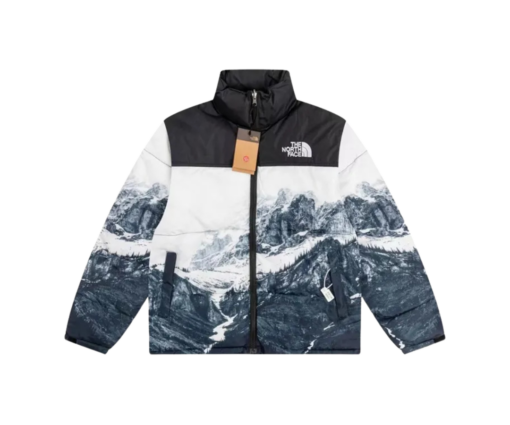 North Face Down Jacket