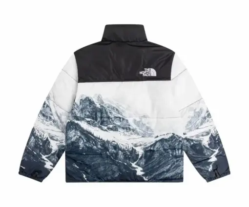 Alternative view of North Face Down Jacket